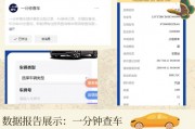 一招轻松掌握：仅凭车牌号即可查车主信息！