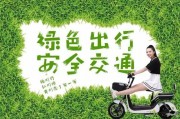 小海豚电动车牌照：引领绿色出行新潮流