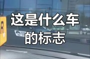 W车牌：你了解这个独特车标背后的故事吗？