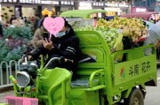 上海三轮电动车牌照争夺战：谁将赢得这场绿色出行新战场的入场券？