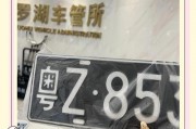 深圳车牌靓号抢拍攻略：教你轻松拍得心仪车牌！