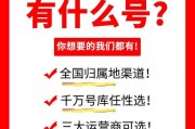 枣庄电动车牌靓号热抢，车主们争相升级身份象征！”