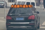 大连车牌新潮流：靓号车牌创意亮相，车牌艺术与文化碰撞