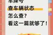 一招教你轻松查询车牌信息，是否合规？