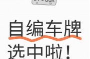 杭州车牌靓号抢夺攻略：一招教你轻松选到心仪车牌