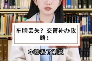 临时车牌号丢失怎么办？紧急攻略助您快速解决问题！