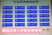 老司机亲测：这几个车牌号，哪个让你过目难忘？