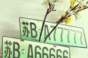 新能源车牌靓号，价值连城！抢号大战一触即发！