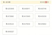 广州车牌靓号挑选攻略：如何轻松获得心仪车牌