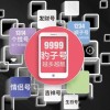 丽水车牌靓号大：一键查询热门靓号，车牌价值一探究竟！