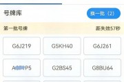 川A靓号车牌拍卖：车牌中的明星争夺战