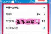 一招教你轻松查看车牌号池