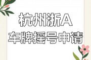 杭州车牌摇号资格审核新规来袭，这些条件你必须满足！