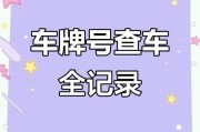 巴盟靓号车牌查询一网打尽，轻松锁定心仪车牌！”