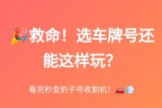 临沂车牌靓号办理攻略：轻松拥有个性车牌，彰显尊贵身份