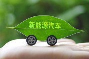 湛江新能源车牌靓号来袭，绿色出行新风尚！”