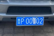 0505车牌号引热议：究竟是靓号还是数字巧合？”