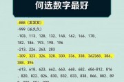 探寻普宁车牌靓号，车牌文化魅力无限