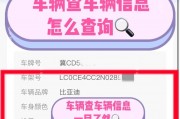 一查便知！车牌号查询，轻松了解汽车违章情况