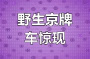 京城车牌遇靓号网，车牌收藏热潮涌动
