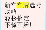 车牌号不满意怎么办？教你轻松退货攻略！
