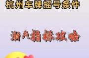 杭州公司喜提车牌靓号，独家背后的抢号热潮！”