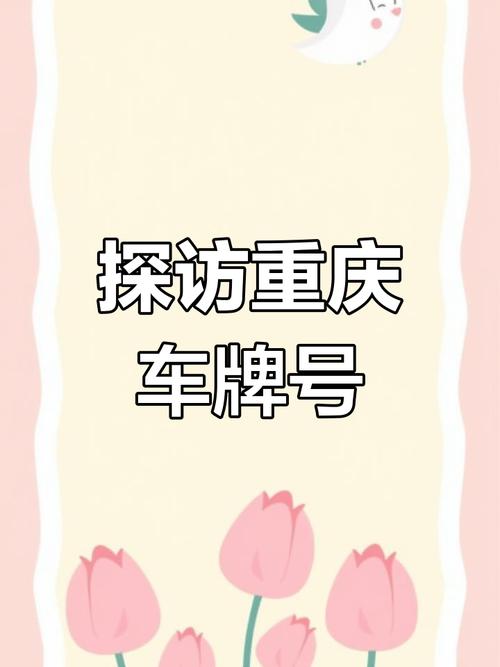 车牌传情:父亲将车牌更名为子女名字,诠释父爱无限