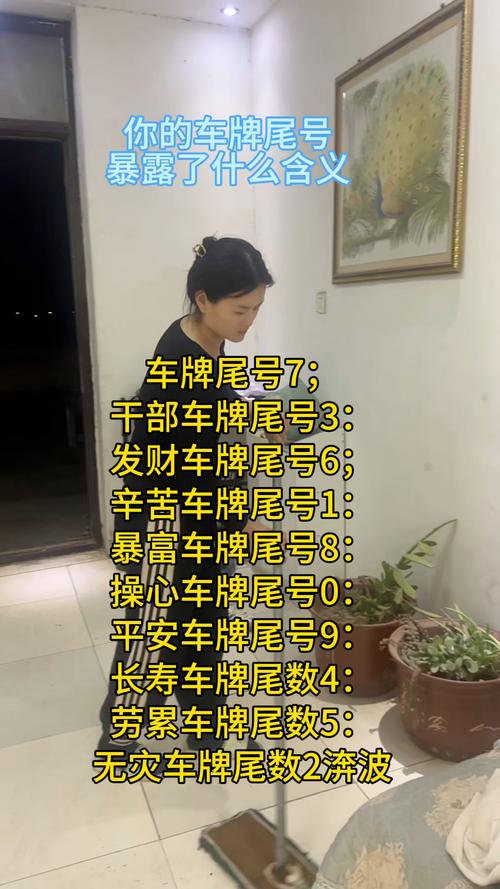 探寻沭阳车牌靓号背后的故事