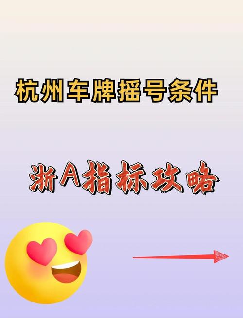 探寻杭州车牌靓号:收藏还是交易?