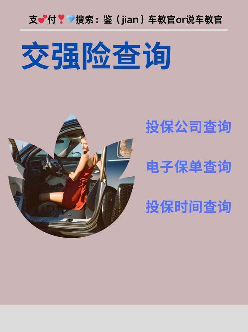 车牌一扫,快速锁定保险公司!