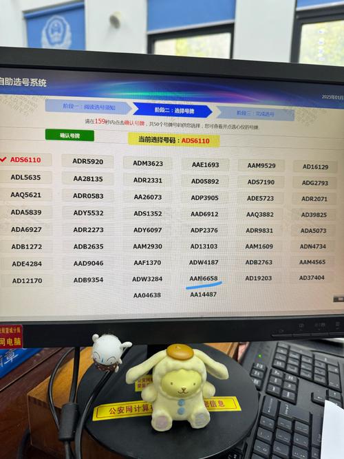 长春网上选号车牌,热门号码一抢而空!