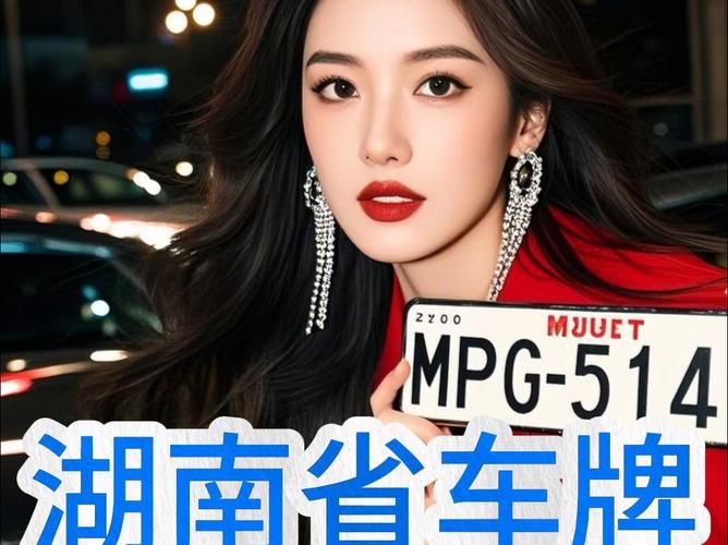 岳阳车牌号吉祥如意”惊现!抢购热潮即将来袭!