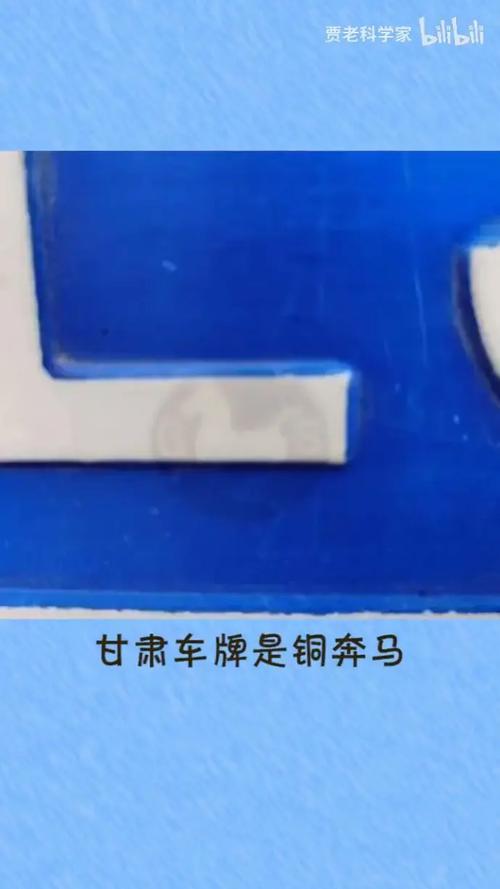 车牌上的奔马:独特设计引发网友热议!