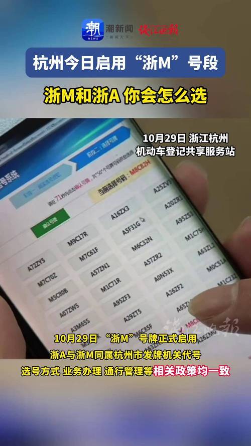 杭州车牌靓号新规则:数字与字母的优雅交响