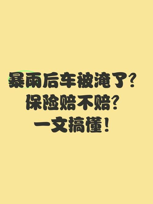 大雨倾盆车牌不翼而飞,车主们如何避免此类尴尬事件?