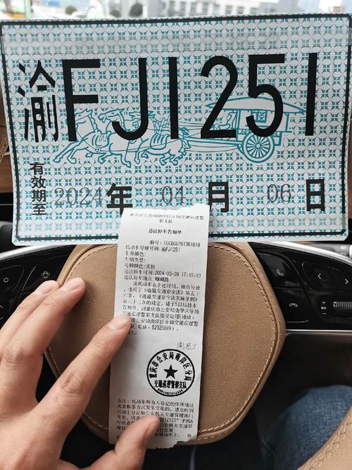 临时车牌临时有限制,车主注意有效期别违规!