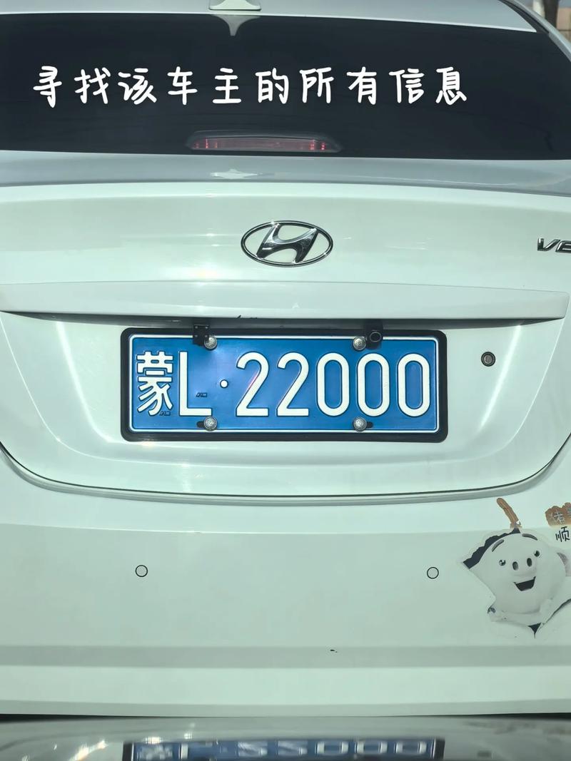 车牌上的白点:隐藏的神秘功能,车主们竟然不知道!