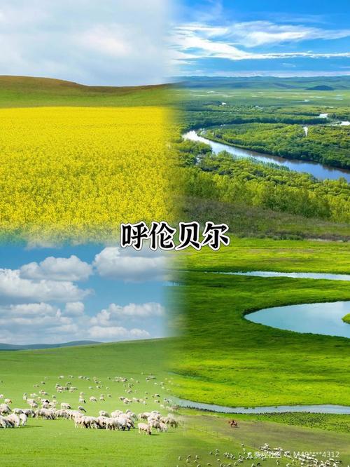 呼伦贝尔车牌金凤呈祥,带你领略大草原的壮美风光