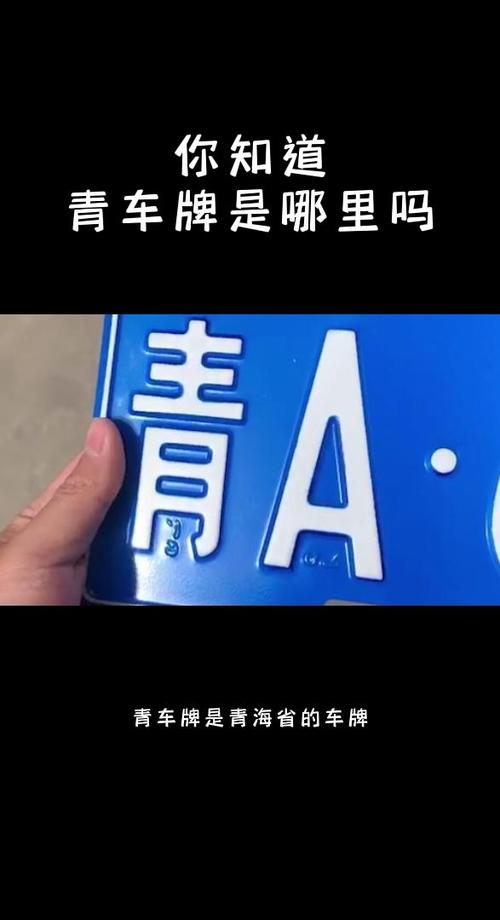 青车牌号引发热议,我国车牌照魅力所在