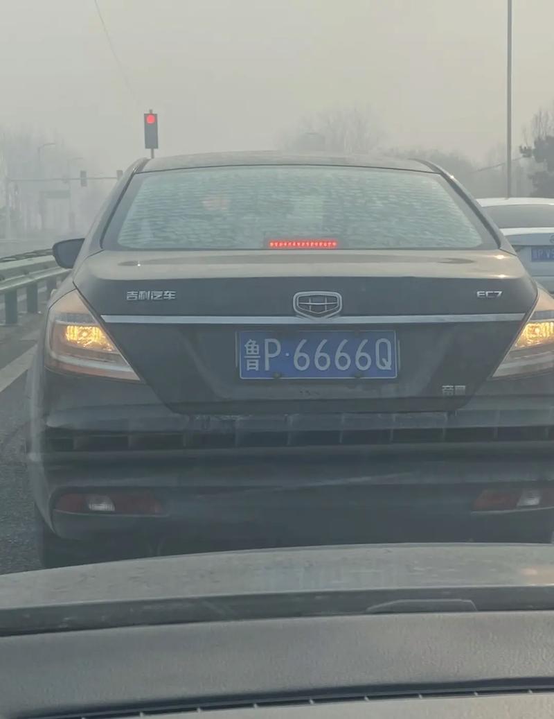 信阳街头惊现靓号车牌,引发网友热议