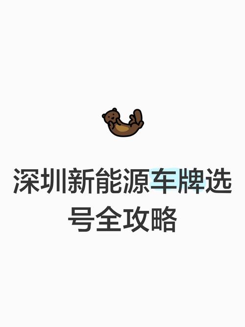 深圳车牌靓号:入手攻略与热门途径