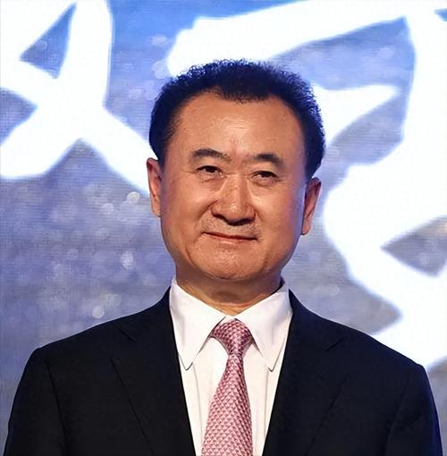万达集团董事长王健林车牌号曝光,网友热议!