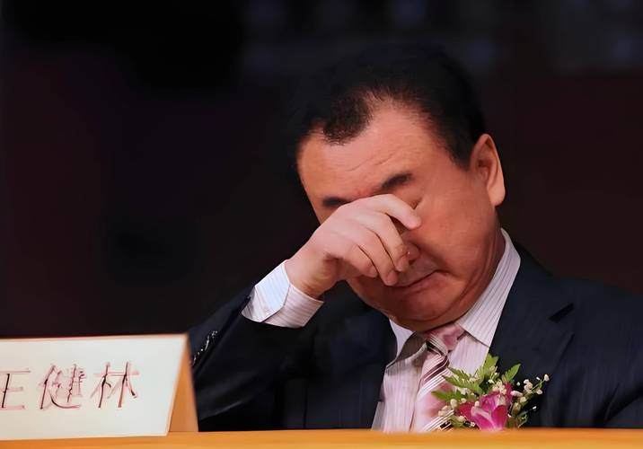 万达集团董事长王健林车牌号曝光,网友热议!