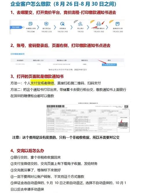 抢手车牌!靓号车牌竞拍流程全