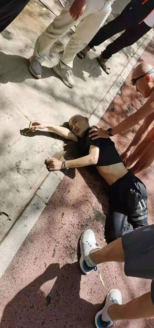 伊川李龙军儿媳车牌号引发热议,网友直呼:身份之谜!