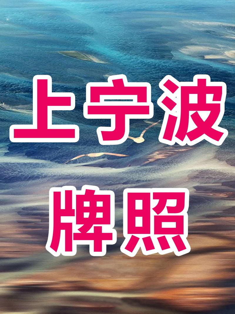 宁波车牌新宠:靓号车牌成抢手货