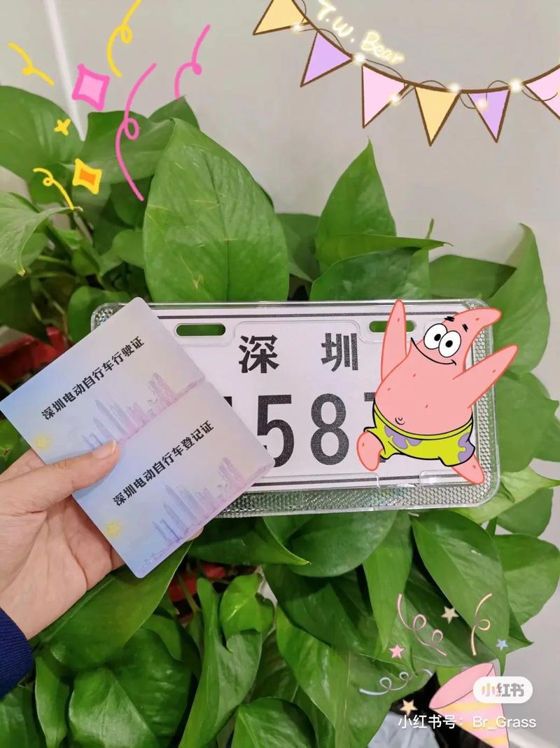 深圳电动车牌代上,绿色出行新风尚!