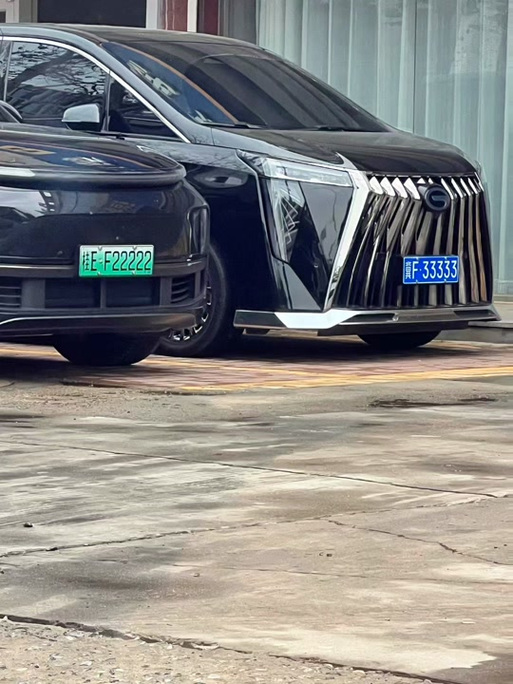广西车牌大:盘点那些独具特色的靓号车牌!