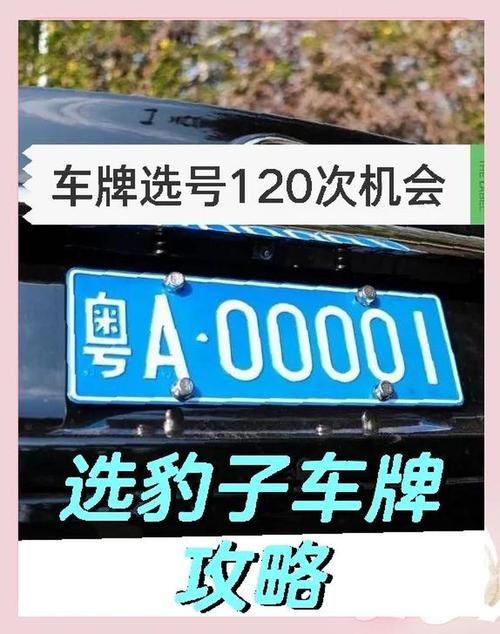 常州车牌靓号:价格背后蕴藏的身份象征
