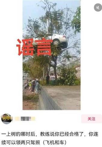 树上挂铃铛,车牌竟成焦点,网友热议:这是要火了吗?